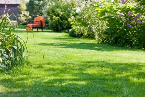 travaux jardin et paysage Rosey